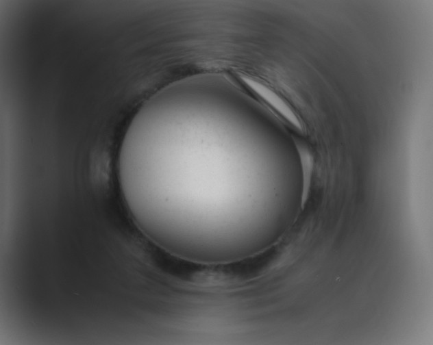 X0000089450211200706291449