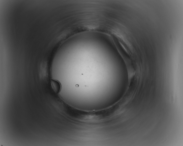 X0000089450212200706291449