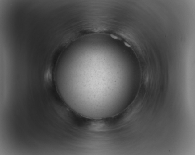 X0000089450214200706291449