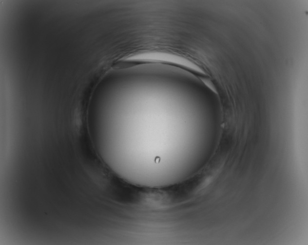 X0000089450215200706291449