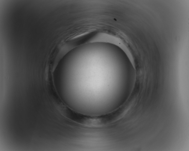 X0000089450217200706291449