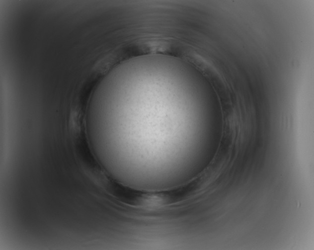 X0000089450218200706291449