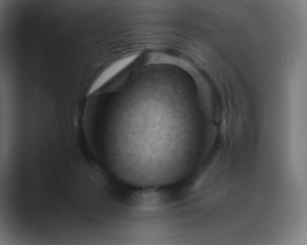 X0000089450219200706291449