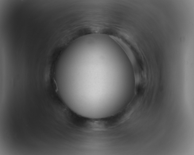 X0000089450221200706291449