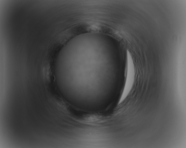 X0000089450223200706291449