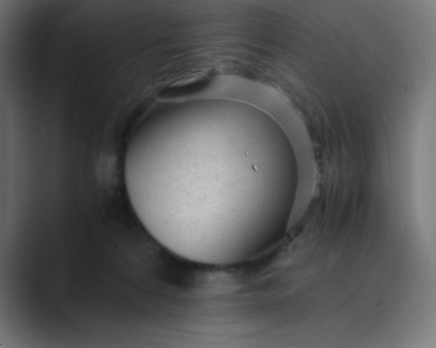 X0000089450224200706291449