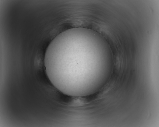 X0000089450226200706291449