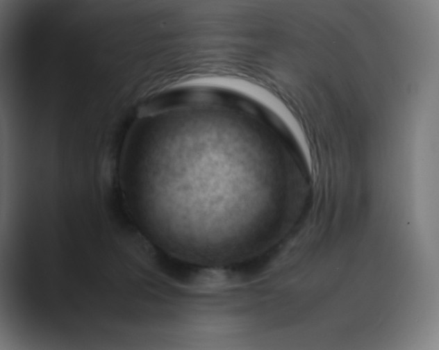 X0000089450227200706291449