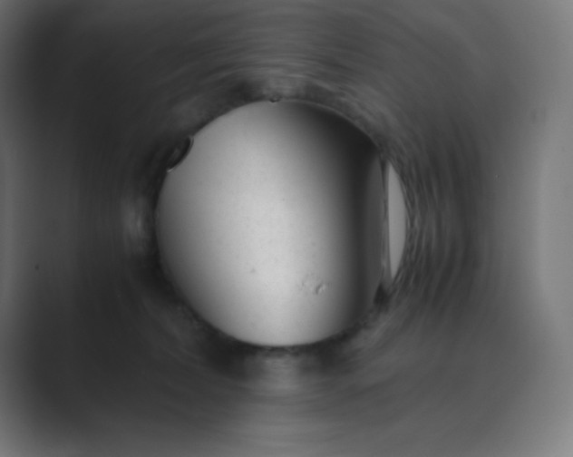X0000089450228200706291449
