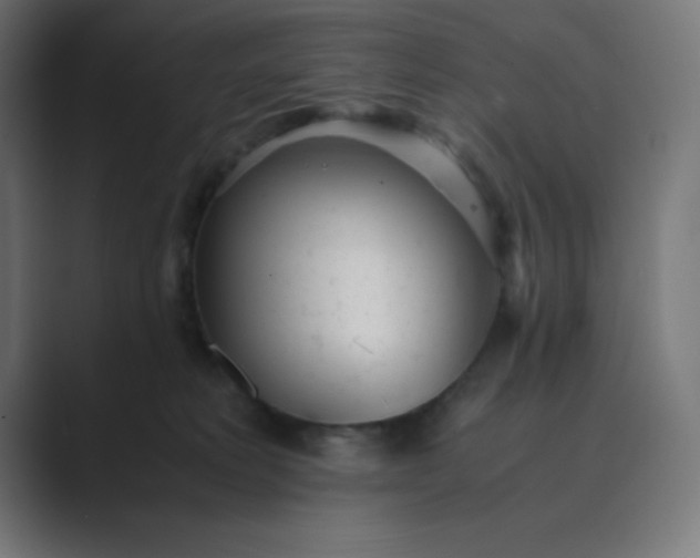 X0000089450229200706291449