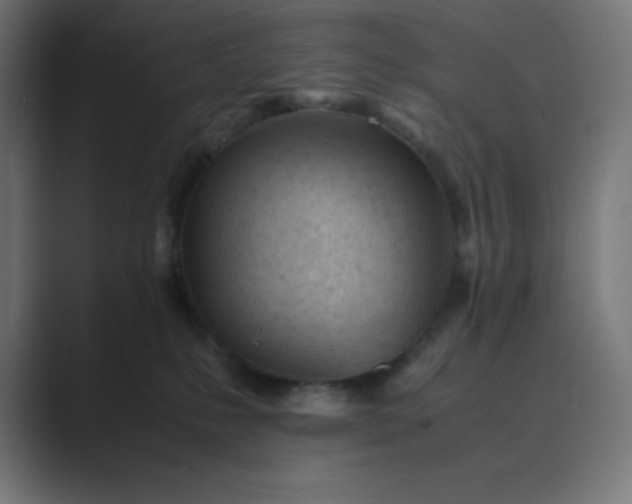 X0000089450231200706291449