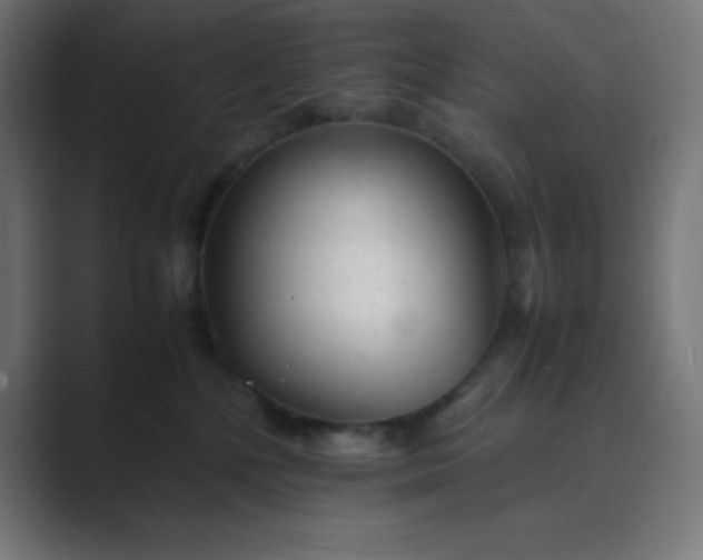 X0000089450232200706291449