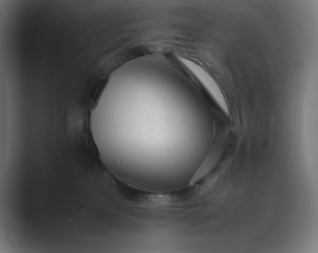 X0000089450233200706291449