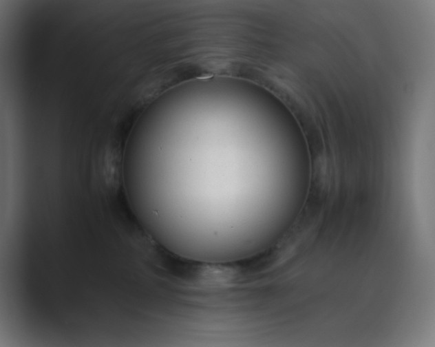 X0000089450234200706291449