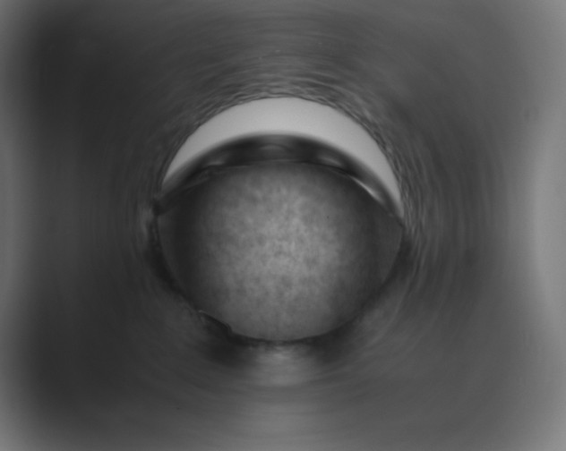 X0000089450235200706291449
