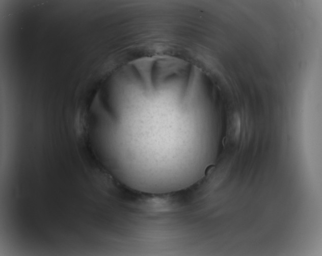 X0000089450236200706291449