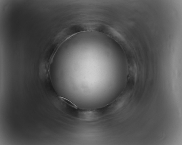 X0000089450237200706291449