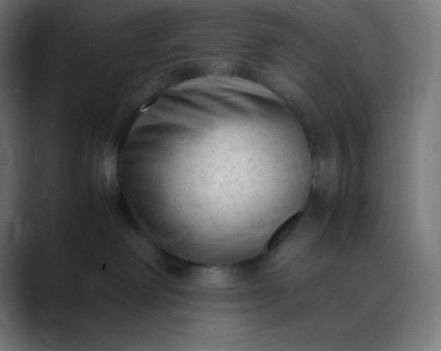 X0000089450238200706291449