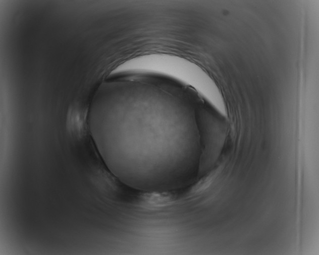 X0000089450239200706291449