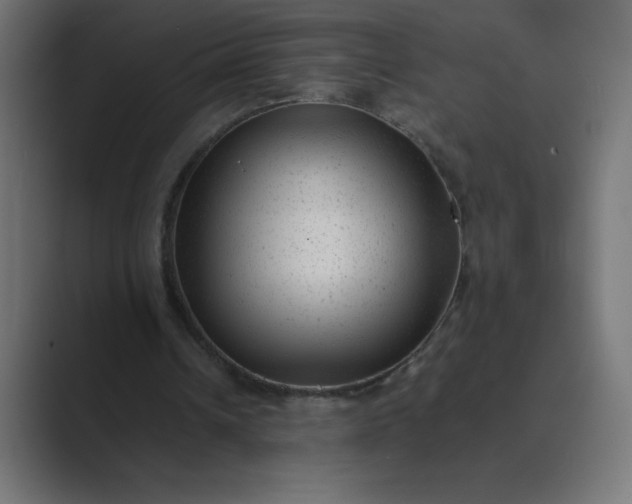 X0000089450242200706291448