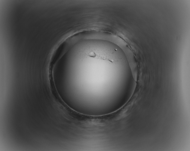 X0000089450244200706291448