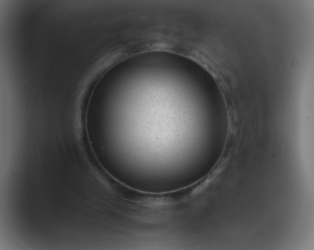 X0000089450245200706291448