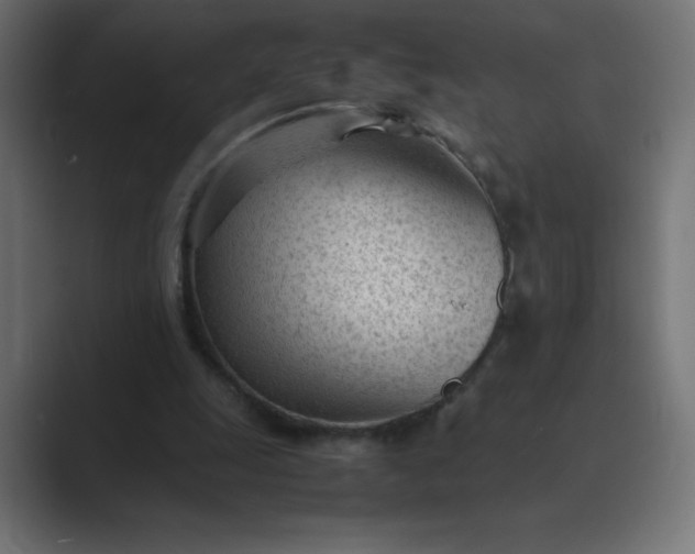 X0000089450247200706291448