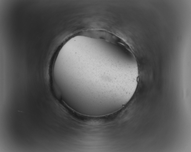 X0000089450248200706291448