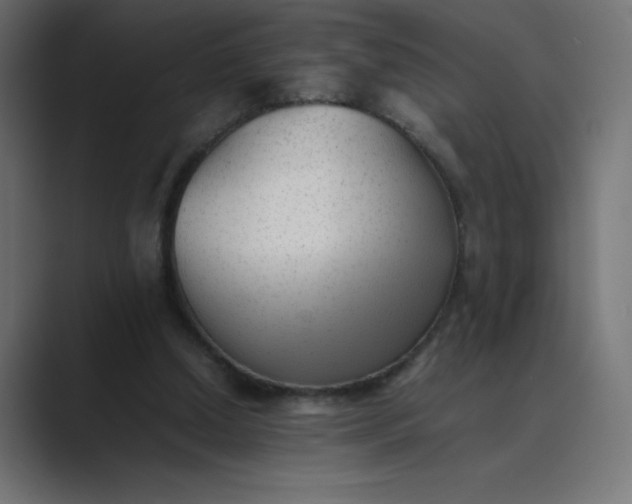 X0000089450250200706291448
