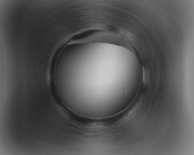 X0000089450252200706291448