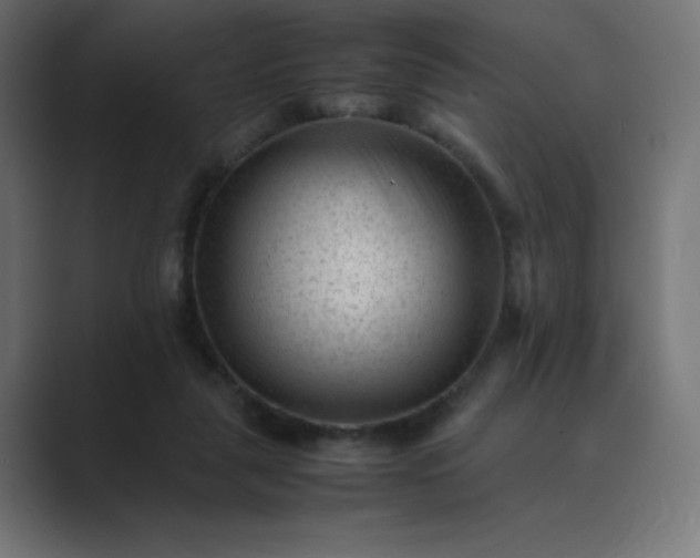 X0000089450259200706291448