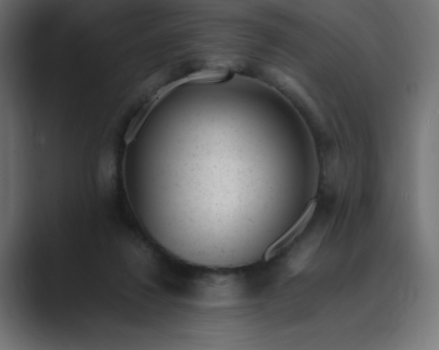 X0000089450260200706291448