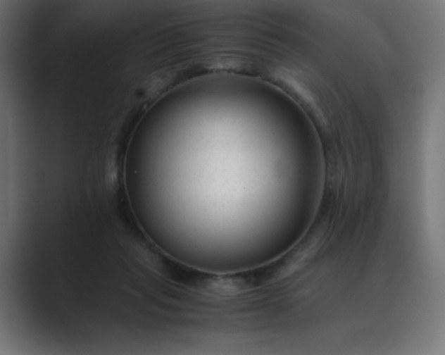 X0000089450261200706291448