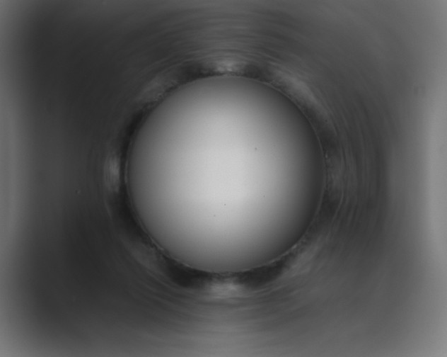 X0000089450262200706291448