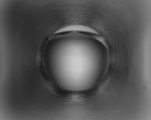 X0000089450264200706291448