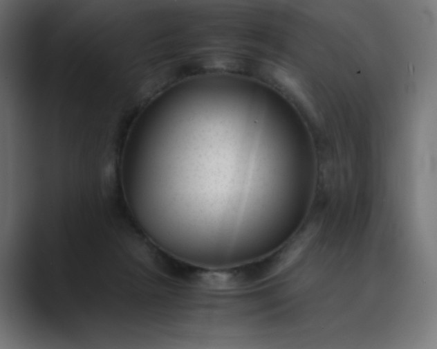 X0000089450265200706291448