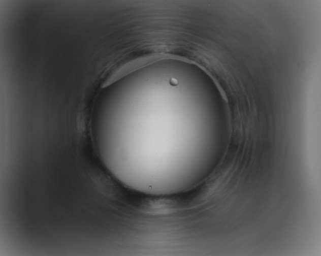 X0000089450268200706291448