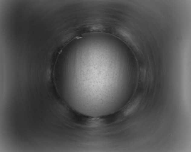 X0000089450269200706291448