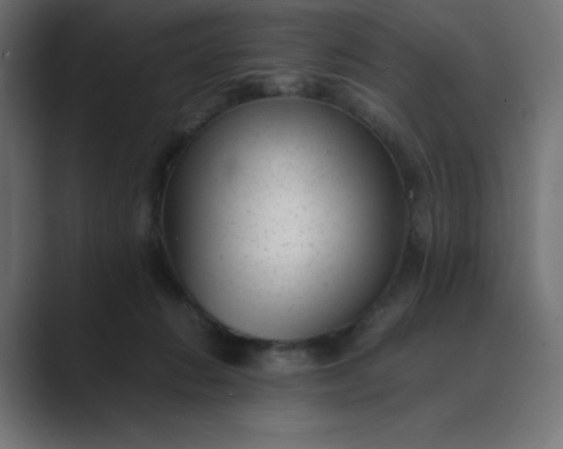 X0000089450270200706291448