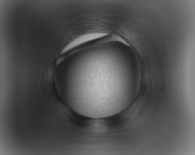 X0000089450273200706291449
