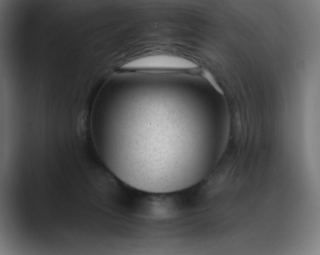 X0000089450275200706291449