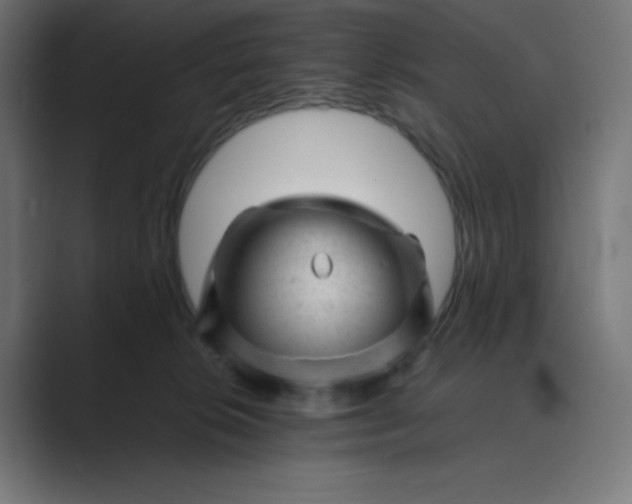 X0000089450276200706291449