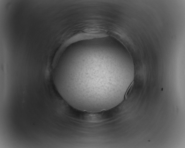 X0000089450277200706291449