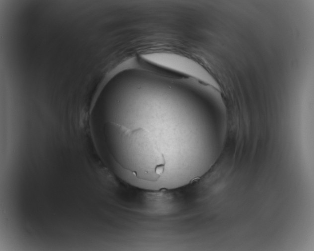 X0000089450281200706291449