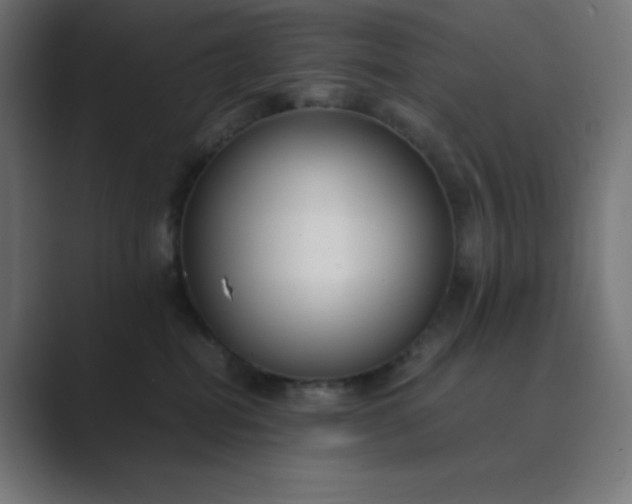 X0000089450282200706291449