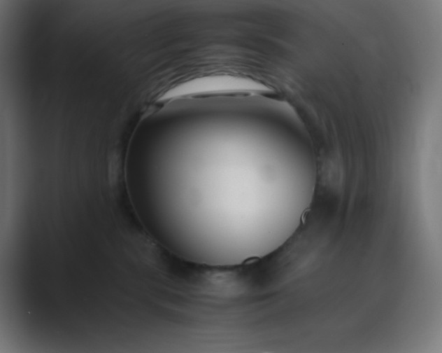 X0000089450283200706291449