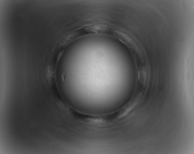 X0000089450284200706291449