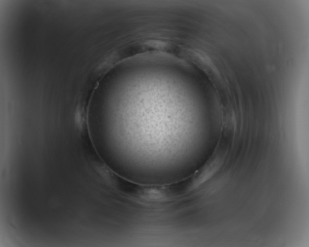 X0000089450285200706291449