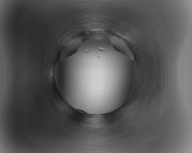 X0000089450288200706291449