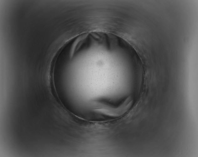 X0000089450290200706291448